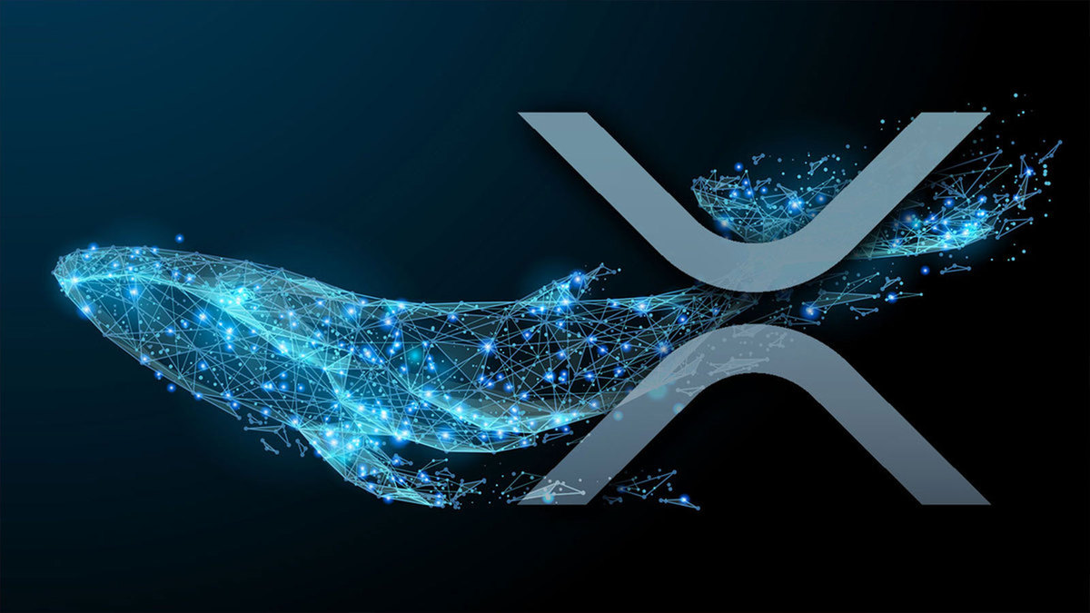 31M XRP Transferred to Exchange As Whale Plots Selloff Move