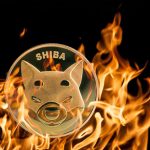 Shiba Inu Burn