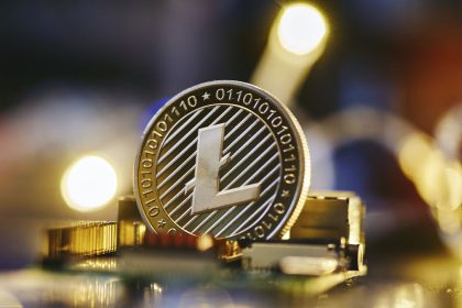 Litecoin (LTC) Outshines Bitcoin, Dogecoin and Ethereum