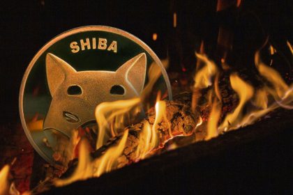Shiba Inu (SHIB) Torches 26M Tokens As Burn Rate Soars 5803.56%
