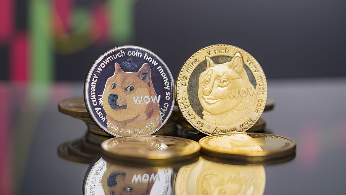 DOGE, SHIB, and PEPE Are "Collective Delusions"- Justin Bons