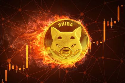 Shiba Inu Weekly Token Burn Rate Jumps by 280%