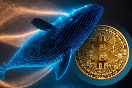 Ancient Bitcoin Whales Resurface With Epic 49,274.2% Gain