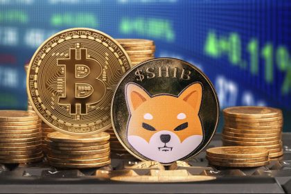 SHIB Executive Make Important Shiba Inu and Bitcoin Comparison