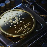 Cardano DDoS Attack, Here's What Really Happened