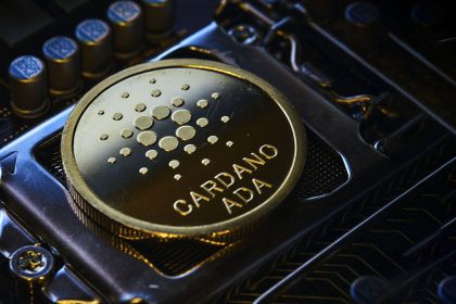 Cardano DDoS Attack, Here's What Really Happened