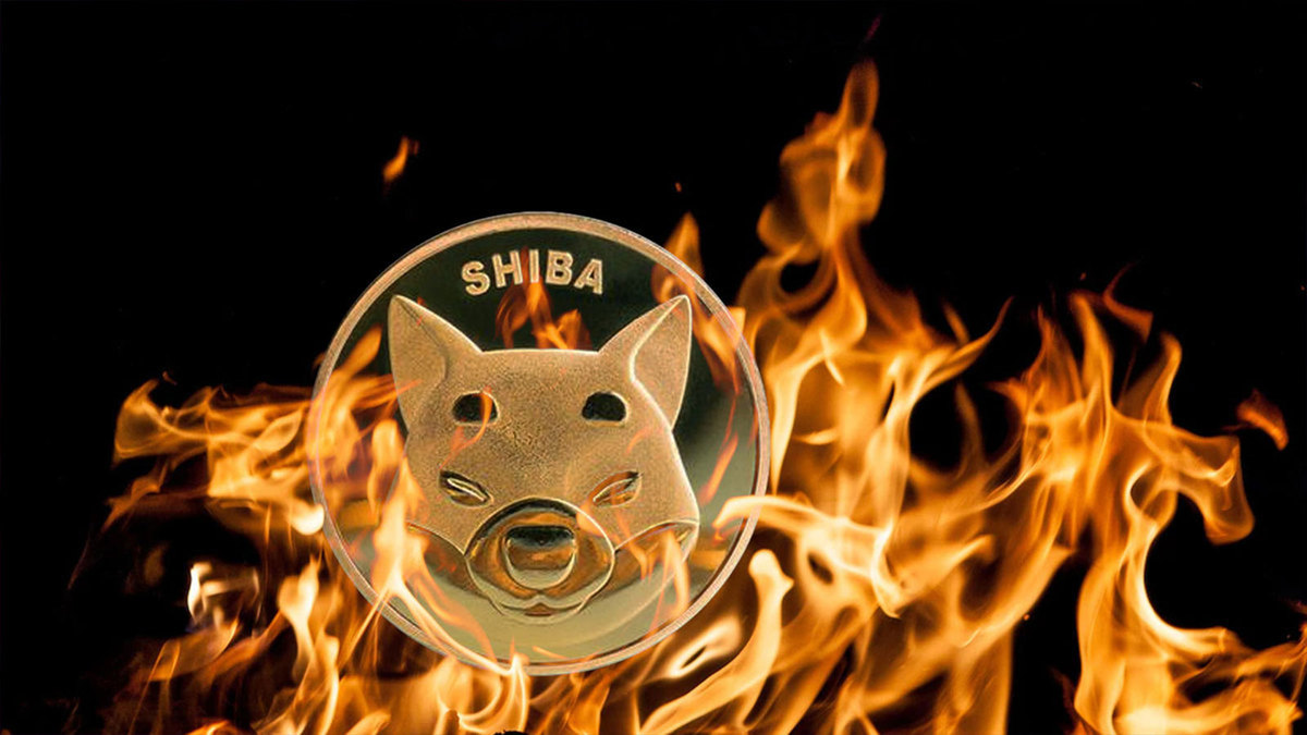 29 Million Shiba Inu (SHIB) Crushed As Burn Rate Soars 260%