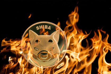 Shiba Inu Skyrockets 11,000% As Price Struggle For Rebound