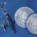 10,000 Ethereum (ETH) Holders Spikes, What This Means for Price