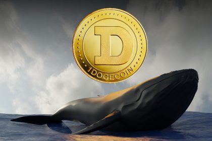 10.7 Billion Dogecoin In 24 Hours, What Are Whales Up To?